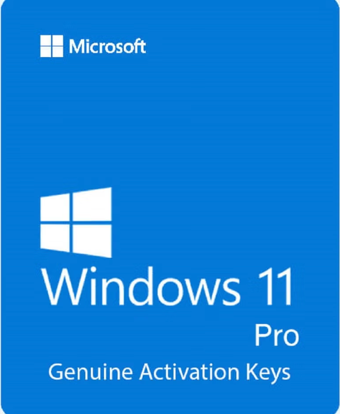 Windows 11 Professional lifetime Key