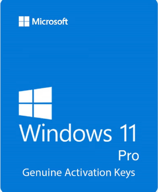 Windows 11 Professional lifetime Key
